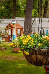 Fototapeta na wymiar Hanging flower pot with peat moss and yellow flowers in backyard garden, the background is a garden playhouse using depth of field and white fencing. Room for text.