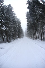 Fototapeta premium Wide angle winter shot in sudety mountains