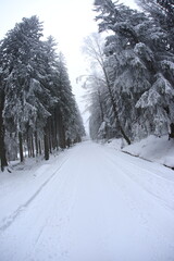 Wide angle winter shot in sudety mountains