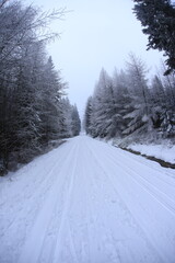 Wide angle winter shot in sudety mountains