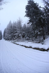 Wide angle winter shot in sudety mountains