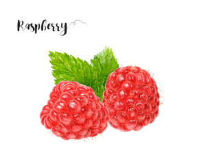 Watercolor illustration of raspberry close up. Design template for packaging, menu, postcards.