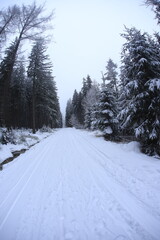 Wide angle winter shot in sudety mountains