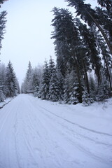Obraz premium Wide angle winter shot in sudety mountains