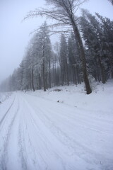 Snowy road in Sudety mountains, Poland