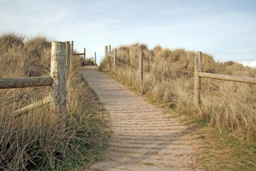 Obraz premium fence on the beach