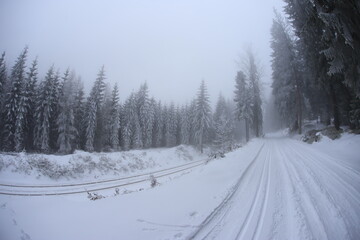 Obraz premium Snowy road in Sudety mountains, Poland