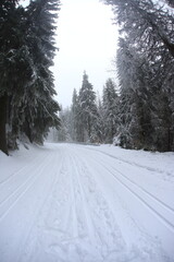 Obraz premium Winter landscape of Sudety mountains, Poland