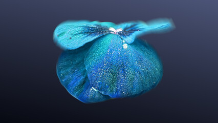 Flower on Solid Blue Background
