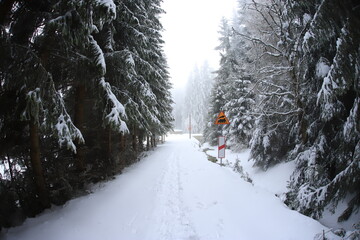 Winter landscape of Sudety mountains, Poland - obrazy, fototapety, plakaty