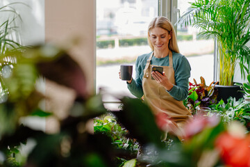 Beautiful smiling blonde middle age woman sitting with phone near window among flowers and browsing messages or websites in cell phone in interior of store with plants. - obrazy, fototapety, plakaty
