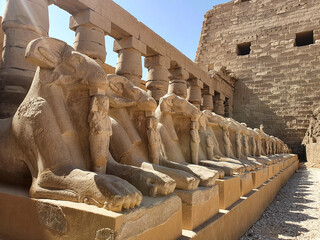 excavations of ancient Egypt