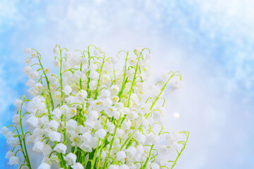 Blurred floral natural background. Soft focus. Spring landscape. flowers lily of the valley