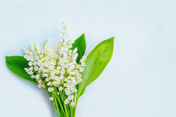 Blurred floral natural background. Soft focus. Spring landscape. flowers lily of the valley