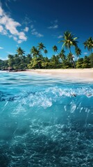 Half Underwater View of Tropical Beach with Palm Trees