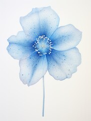 Blue flower isolated on white. One blue watercolor flower background