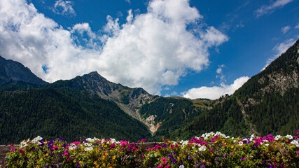 Fototapete bei efototapeten.de bestellen   