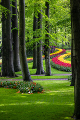 Scenic Keukenhof gardens view in the Netherlands.