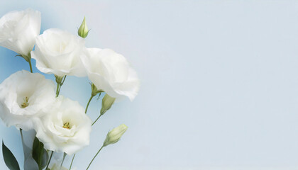 Obraz na płótnie Canvas Pastelowy kwiat, kartka z miejscem na życzenia