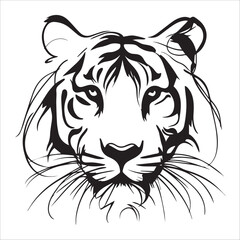 Tiger head , Tiger head line art illustration