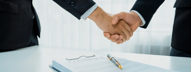 Two business executive shake hand in boardroom, sealing agreement merging two company. Handshake...