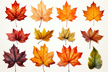 Picturesque Autumnal Palette: Watercolor Leaves