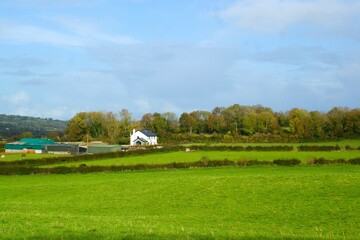 Fototapeta premium Countryside in Ireland with a white house