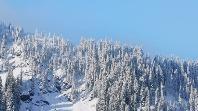 Beautiful snow covered landscape in Northern America mountain nature during winter sunny morning. Stevens pass mountain range, Mount Baker Snoqualmie National Forest, USA tourism copy space background