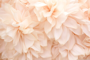 Fondo primaveral de flores rosadas. - obrazy, fototapety, plakaty