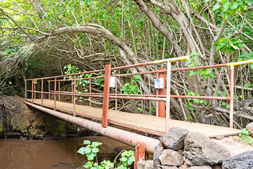 A small bridge crosses a creek near Mahaulepu Beach on the island of Kauai, Hawaii.
