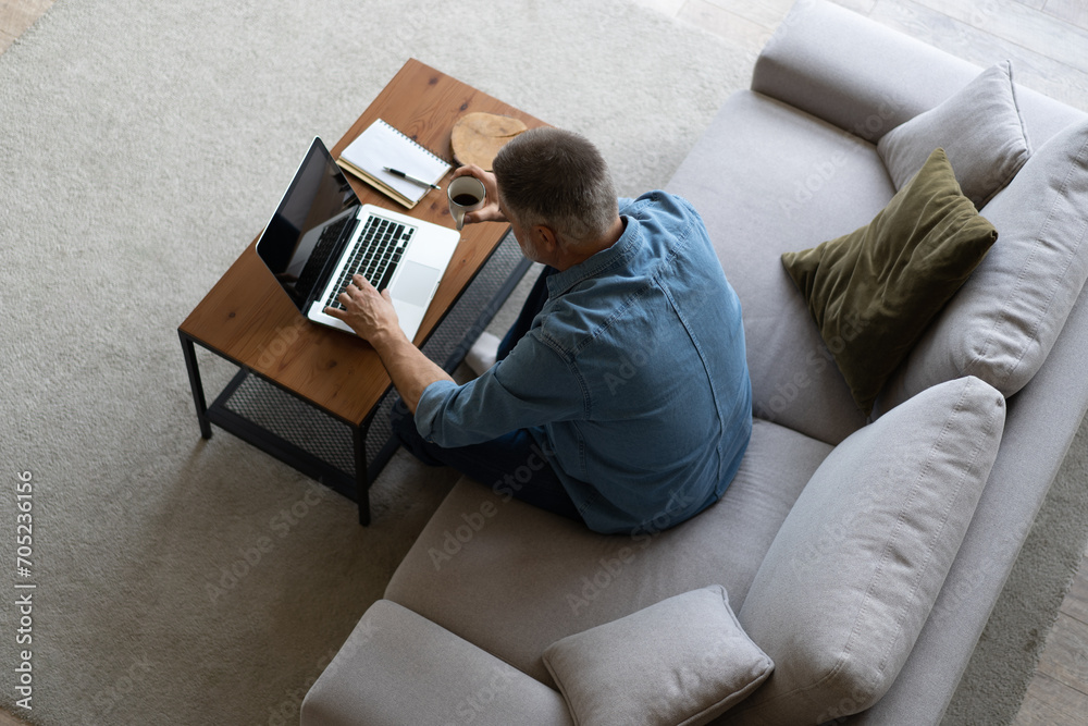 Canvas Prints Top view of senior man in casual clothing using laptop and smiling while sitting on the sofa, working from home.