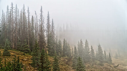 Rocky Mountain National Park, Colorado, Autumn