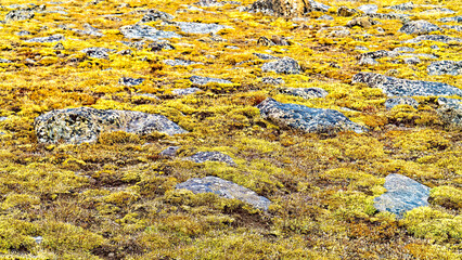 Rocky Mountain National Park, Colorado, Autumn