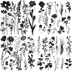 Flowers, plants set silhouette isolated vector.Hand drawn wedding herb, minimalistic flowers with elegant leaves. Botanical rustic trendy greenery vector