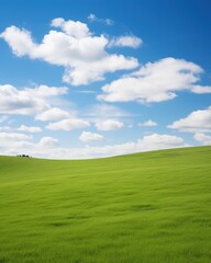 Obraz premium Green rolling hills under blue sky and white clouds