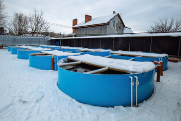 Fototapeta na wymiar Winter aquaculture ponds with heating