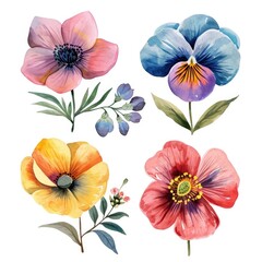 Set watercolor flowers. Different types 4 flowers. four flowers isolated, flat watercolor clipart set with white background . soft pastel color