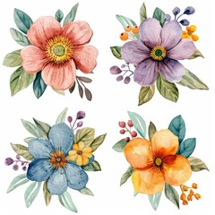 Set watercolor flowers. Different types 4 flowers. four flowers isolated, flat watercolor clipart set with white background . soft pastel color