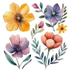 Fototapeta premium Set watercolor flowers. Different types 4 flowers. four flowers isolated, flat watercolor clipart set with white background . soft pastel color