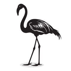 Flamingo silhouettes and icons. Black flat color simple elegant white background Flamingo birds vector and illustration.