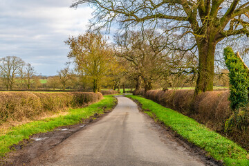 A view down a quiet country lane in the countryside close to Gumley in Leicestershire, UK on a...