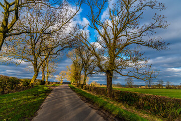 A view of early evening shadows on a quiet country lane in the countryside close to Gumley in Leicestershire, UK on a bright winter day