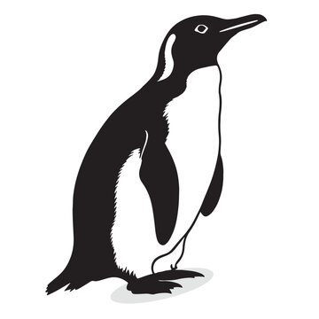 Penguin silhouettes and icons. Black flat color simple elegant white background Penguin birds vector and illustration.