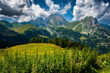 Naturalistic excursion among the forests and mountain pastures of Carnia.