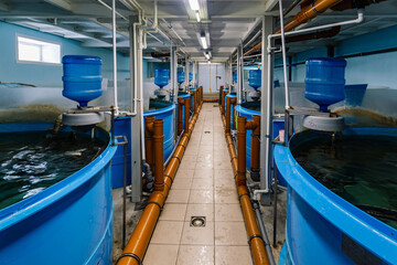 Fototapeta na wymiar Round water basins with automatic feeding and water recirculation for growing fish in fish farm