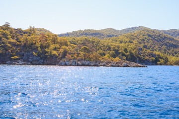 Green relief island. Background with selective focus and copy space