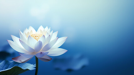 Holiday party background, New Year, birthday, celebration, Christmas background with blank copy space