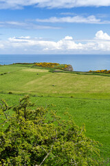 Obraz premium Landschaft beim Klippenpfad Gobbins Cliff