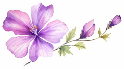 Purple Watercolor Flower on White Background AI Generated