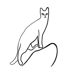 cat in doodle style.template for poster advertising print icon sticker design.